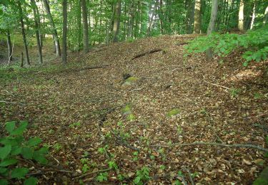 Percorso A piedi Fischbachtal - Rundwanderweg Pfad der Geschichten - Photo