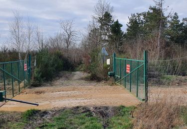 Tour Wandern Martot - Forêt Bord Martot 10 km - Photo