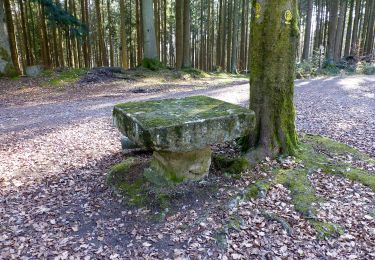 Tocht Te voet Fürth - Rundwanderweg Wegscheide II 3: Lärmfeuer-Weg - Photo