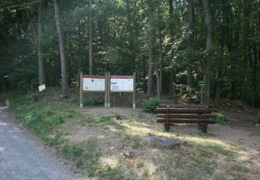 Excursión A pie Lützelbach - Rundwanderweg Seckmauern 1 : Seckmauern-Weg - Photo