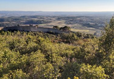 Randonnée Marche Montpeyroux - Le Castellas de Montpeyroux - Photo