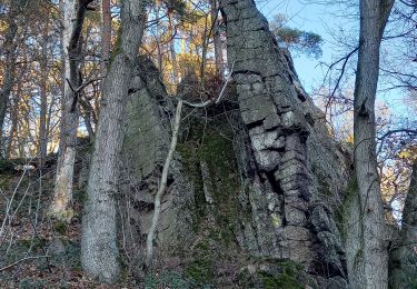 Tour Wandern Amay - Ombret - Photo