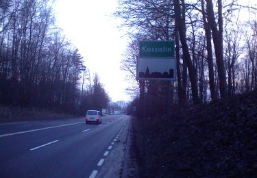 Randonnée A pied Koszalin - Pętla Tatrzańska - Photo