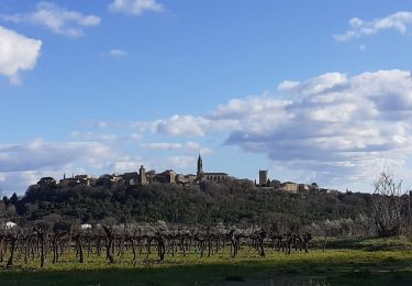 Percorso Marcia Vers-Pont-du-Gard - vers castillon claude 5 2 20 - Photo