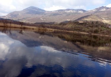 Tour Wandern Saint-Jean-de-Chevelu - Tour-des-Lacs-Chevelu-2021-03-08 - Photo