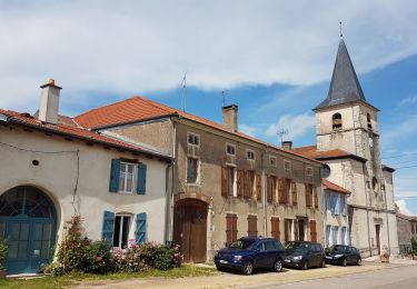 Randonnée Marche Praye - PRAYE - LA COLLINE DE SION-VAUDEMONT - Photo