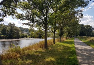 Randonnée Marche Esneux - Hony - La Roche aux Faucons - Esneux - Photo