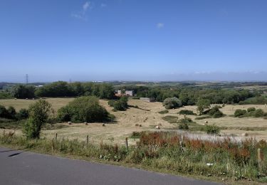 Trail Walking Saint-Martin-Boulogne - randonnée  blanc pignon Mont Lambert - Photo