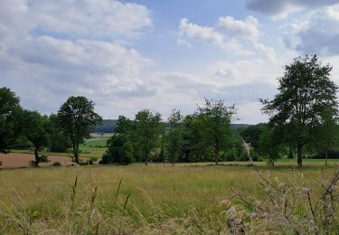 Trail Walking Cerfontaine - boucle au nord de Soumoy - Photo