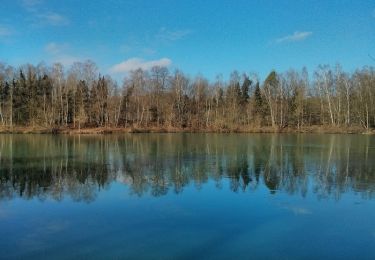 Trail On foot Niederkrüchten - Rundweg A4 Venekotensee - Photo