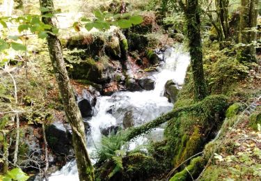 Percorso Marcia Donamaria - SityTrail - Cascades du Txaruta depuis Donamaría (Navarre ) M Wikiloc. - Photo