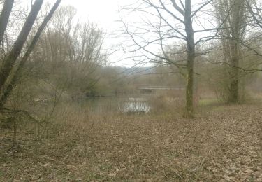 Tocht Stappen Eijsden-Margraten - Oost Marland - Photo