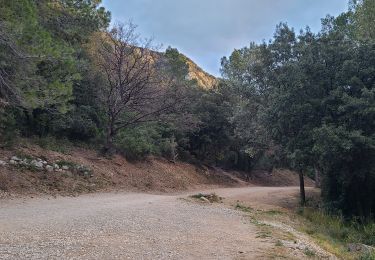Tour Wandern Valflaunès - 3 les falaises de l'Hortus du 20/01/2025 - Photo