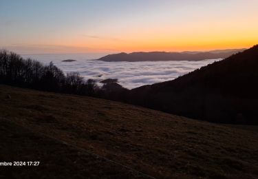 Tocht Stappen Geishouse - grand bàlon - Photo