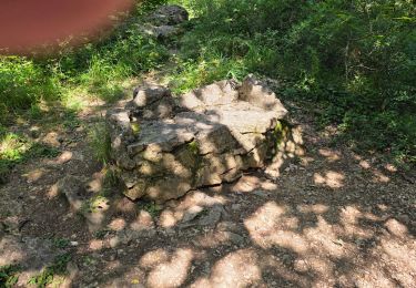 Trail Walking Plan-d'Aups-Sainte-Baume - Sainte Baume grotte aux œufs st pilon - Photo