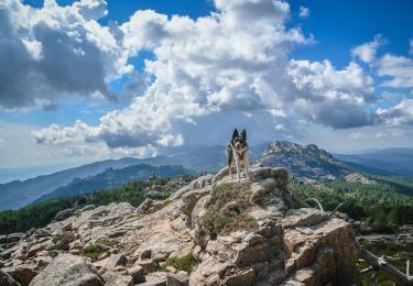 Tour Andere Aktivitäten Zonza - monte calva bergerie de liviu - Photo