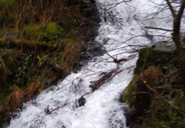 Randonnée Marche Le Val-d'Ajol - cascade faymont  - Photo