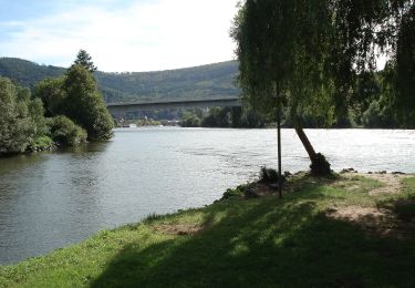 Randonnée A pied Großheubach - W gelb, Großheubach Engelberg Rundwanderweg - Photo