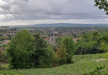 Tocht Stappen Villenauxe-la-Grande - VILLENAUXE 2 le vignoble, les bois, la rivière Noxe, le village - Photo