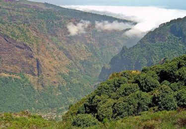 Tocht Te voet Jardim da Serra - Vereda da Trompica - Photo