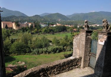 Tocht Te voet Pontremoli - Via Francigena, Toscana var Montelungo-Pontremoli - Photo