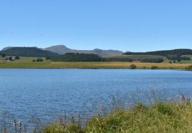 Trail Walking Besse-et-Saint-Anastaise - St_Anastaise_Lac_Bourdouze - Photo