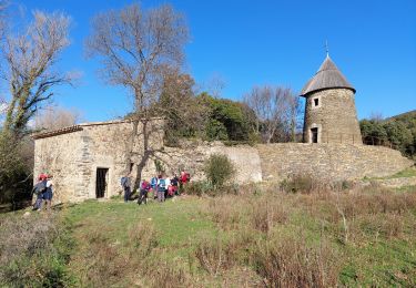 Tour Wandern Cabrerolles - Cabrerolles - Photo