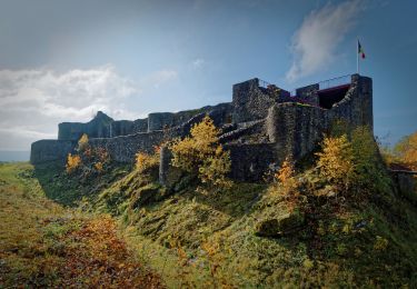 Trail On foot Herbeumont - Haut Chenois - Chateau Fort Herbeumont - Photo