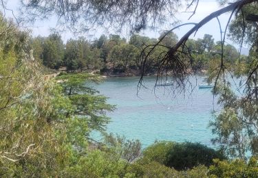 Tocht Stappen Cavalaire-sur-Mer - cavalaire sur mer/Bormes les mimosas village - Photo