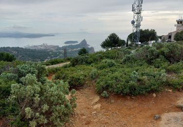 Tocht Stappen La Ciotat - la ciotat ND la garde vers le sémaphore par les chemins  - Photo