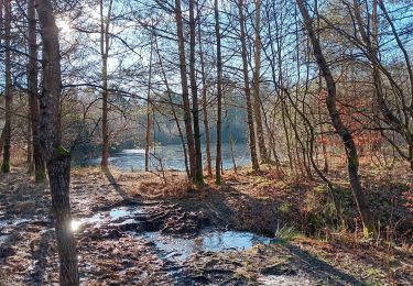 Tocht Stappen Spa - grand tour de la la fagne via chemin didactique - Photo