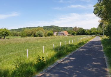 Tour Elektrofahrrad Ronse - Renaix - bois Louise Marie - par sentiers - Photo