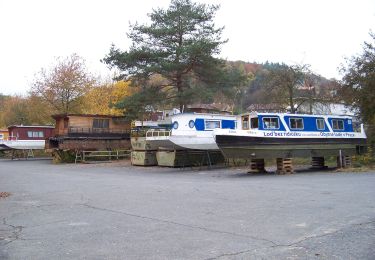 Randonnée A pied Štěchovice - [Z] Pod Homolí - Třebenice - Photo