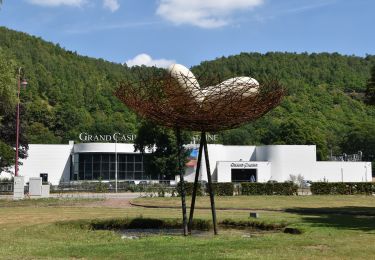 Tour Wandern Chaudfontaine - 20220724 - TOTEMUS Chaudfontaine - 5.7 Km - Photo