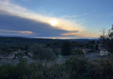 Trail Walking Tourrettes-sur-Loup - Tourettes-sur loup Pic Courmettes Puys Tourettes et Naouri Trace réélle - Photo