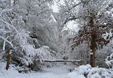 Trail Walking Havelange - Méan Failon - Photo