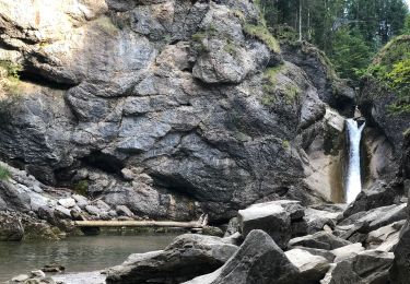 Tour Zu Fuß Oberstaufen - Premiumwanderweg Wildes Wasser - Photo