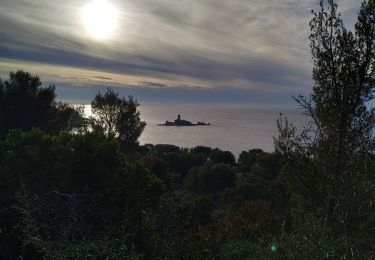 Trail Walking Saint-Raphaël -  saint raphael /les ferrieres / belvédère du Dramont - Photo