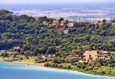 Percorso A piedi Castel Gandolfo - Periplo Lago Albano - Photo