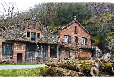 Randonnée A pied Conques-en-Rouergue - Le Chemin de l'Oiseau - Photo