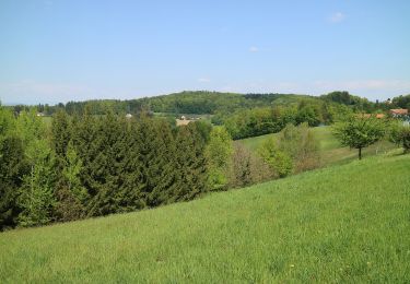 Percorso A piedi Fernitz-Mellach - Weg zum Haus der Stille - Photo