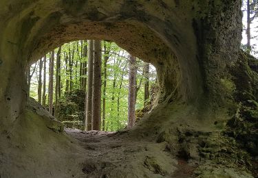 Percorso A piedi Betzenstein - Betzenstein Rundwanderweg Grosser Wasserstein - Photo