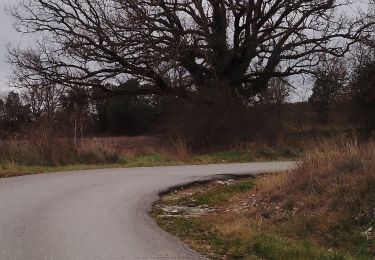 Excursión Senderismo Pierrerue - Saint Pierre. les hameaux des tourettes - Photo