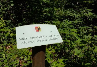 Trail Walking Champagney - Grotte prisonniers allemands - château Etobon - Etobon - Photo