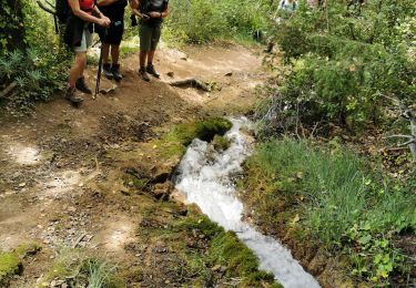 Tour Wandern Signes - Le latay - Photo