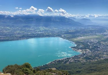 Trail Walking La Chapelle-du-Mont-du-Chat - Dent du chat - Photo