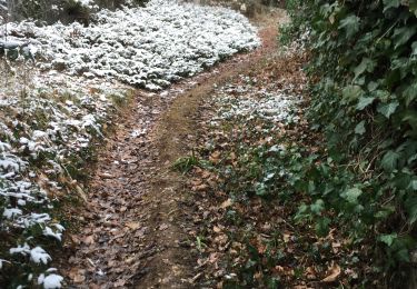 Tour Wandern Saillans - Saillans-col des Vallons- la Montagne - Photo