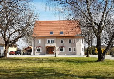 Tour Zu Fuß Gilching - Via Zeitreise Rote Route - Photo