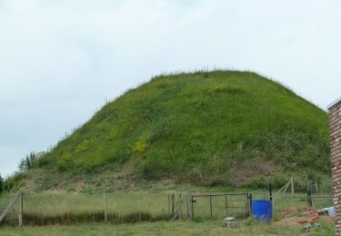 Tour Zu Fuß Tongern - Evermaruspad - Photo