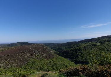 Trail Road bike Azille - Salette croix de sou - Photo